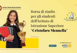 immagine decorativa della borsa di studio CSII per l'Istituto Mennella